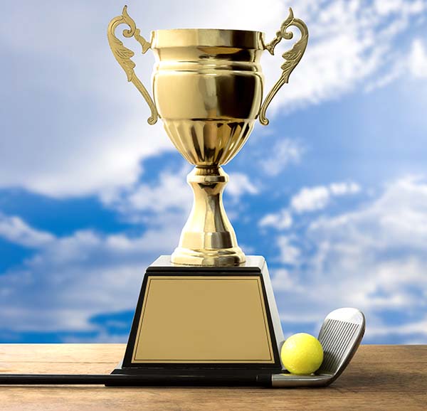 The Mulligan Award bucket